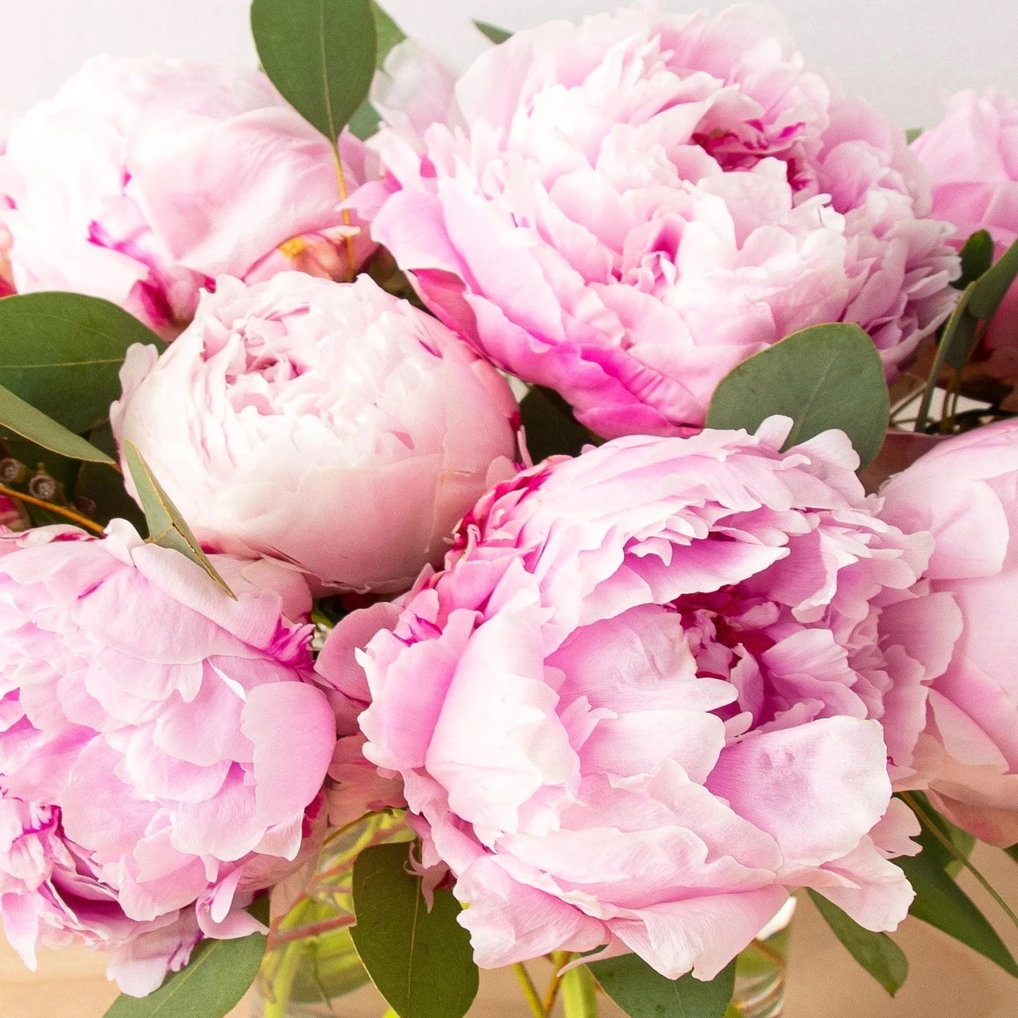 For spring, gorgeous soft pink peonies! Peonies are complimented with seeded eucalyptus in this exquisite arrangement in a clear glass vase.