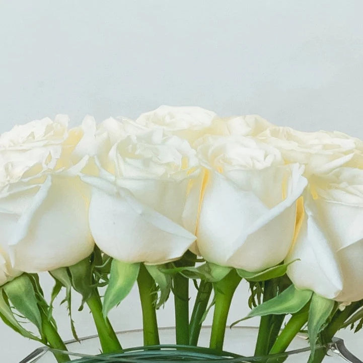 Casablanca is an exquisite twist on one of our most popular arrangements that are guaranteed to add flair to any room. In this arrangement, rich cream roses are arranged in an elegant glass vase.  Note: exact flowers will vary. Our team will always choose the freshest, most unique seasonal flower.