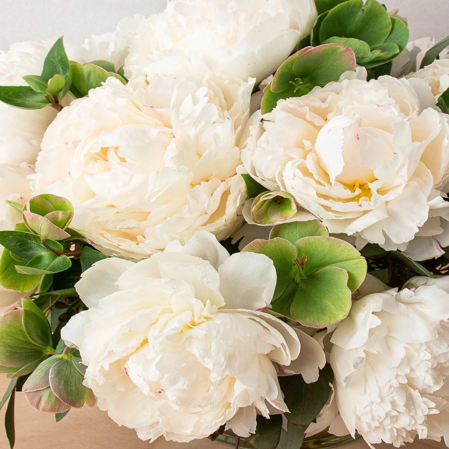Our Classy Peonies arrangement features a luscious vase of Cream peonies and is made with luxury, richness, and elegance. Hellebores and seeded eucalyptus are accented in a clear glass vase.