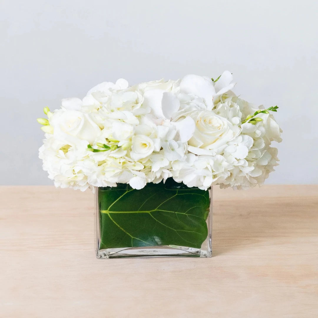 Simple, sweet, and elegant are the three words that come to mind while thinking about this arrangement. White hydrangea, vanda orchids, freesia, and roses are arranged in a glass leaf-lined rectangular vase to create the ultimate all-white flower arrangement.  Note: exact flowers will vary. Our team will always choose the freshest, most unique seasonal flower.
