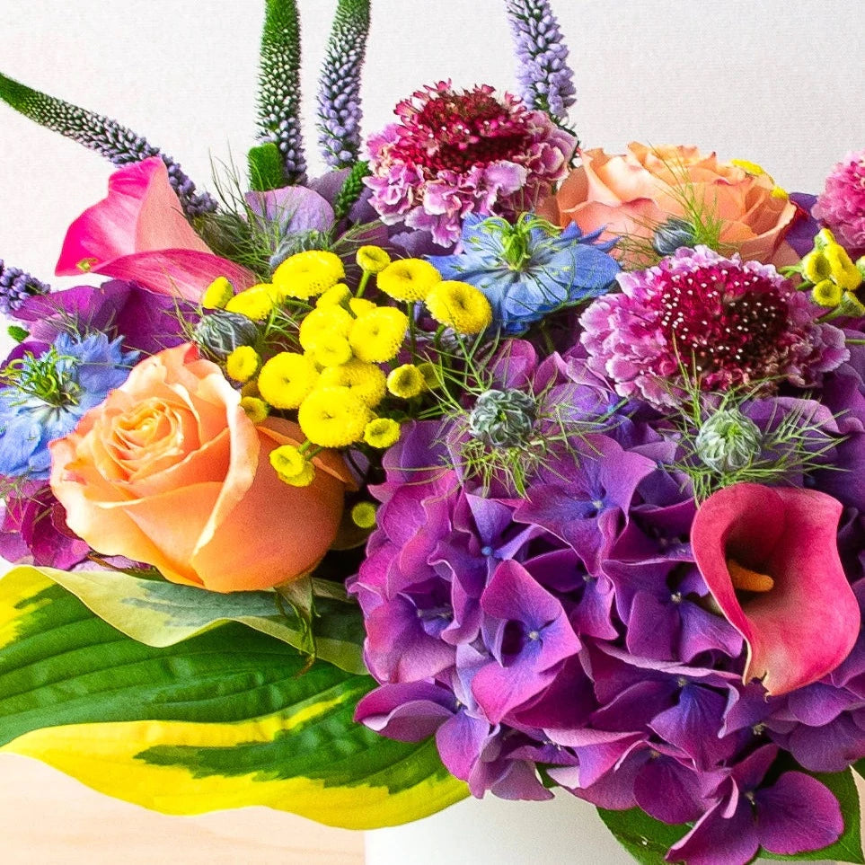 A classical mix of flowers that forms the perfect shade of enjoyment.   Flower List:  Purple Hydrangea  Peach Rose  Scabiosa  Veronica  Note: exact flowers will vary. Our team will always choose the freshest, most unique seasonal flower.